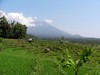 bali21.jpg